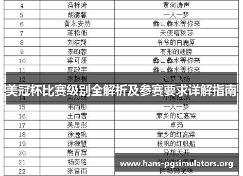 美冠杯比赛级别全解析及参赛要求详解指南