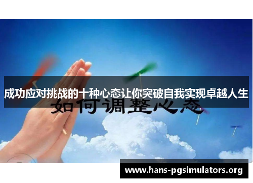 成功应对挑战的十种心态让你突破自我实现卓越人生 成功应对挑战的十种心态让你突破自我实现卓越人生